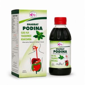 Sharbat podina (Packet)